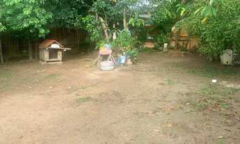 Imagem 4: Terreno plano com casa jardim 2