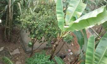 Imagem 4: CASA 3 QUARTOS - FERCAL