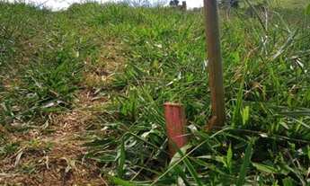 Imagem 4: Pague seu terreno parcelado