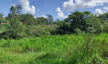 Imagem 4: Fazenda 18 hectares várias nascentes ideal para pousada linda vista
