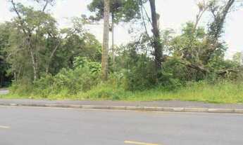 Imagem 7: Terreno para Venda em Quatro Barras, Jardim Orestes Thá