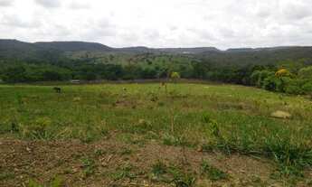 Imagem 6: Chácara 12 Alqueires - Santo Antonio do Desc GO