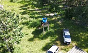 Imagem 2: FAZENDA DE EUCALIPTOS - NIQUELÂNDIA - GO