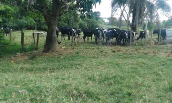 Imagem 3: Chácara 2,26 alqueires Itauçú GO