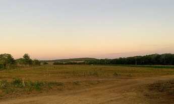 Imagem 2: Fazenda em Palmas