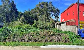 Imagem 4: Terreno a poucos metros da praia de Boracéia - São Sebastião