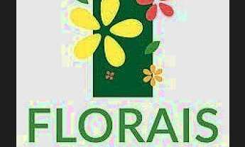 Imagem 4: Terreno Florais da Mata