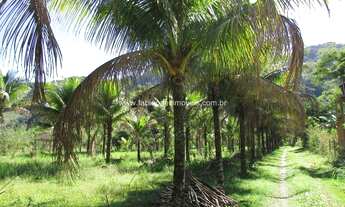 Imagem 7: Fabio Paes Imóveis - Terreno a venda com 25.000 m² em área nobre, rio nos fundos