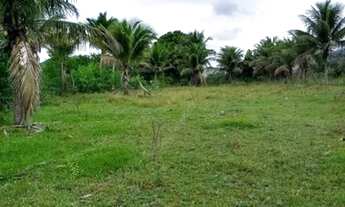 Imagem 2: Vendo Sítio em Aracruz