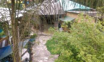 Imagem 6: Chácara com ótima localização