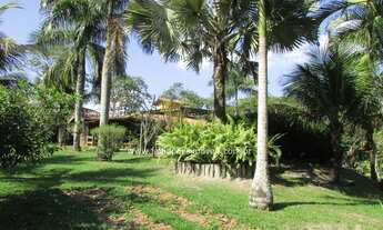 Imagem 3: Fabio Paes Imóveis - Sítio a venda com 4.000m² alto padrão, plano