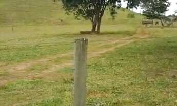 Imagem 3: Excelente Chácara