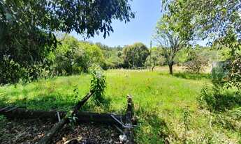 Imagem 7: NOVO HAMBURGO - Terreno Padrão - Alpes do Vale