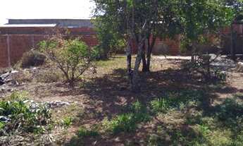 Imagem 3: Lote300m2 R$180,000 arniqueiras,cond