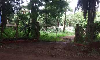 Imagem 5: RIBEIRãO PRETO - Padrão - Jardim Nova Aliança Sul