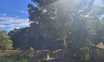 Imagem 2: Terreno próximo à SC 418, situado entre Sai Bento e Campo Alegre. Terreno com suporte para