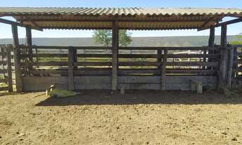 Imagem 6: Fazenda 174 Alqueires, Formosa, GO