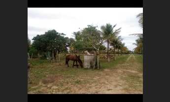 Imagem 6: Fazenda/Sítio/Chácara para venda possui 98 mil metros quadrados com 4 quartos