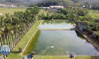 Imagem 2: Terreno à venda, 9.353 m² - Urubuquara - Garuva/SC