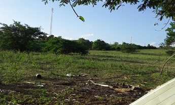 Imagem 4: Lote/Terreno com 11.000 mil metros de terreno para venda em São Cristóvão - Palmeira dos Í