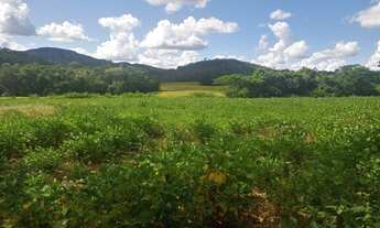 Imagem 4: Fazenda para venda possui 101 Alqueires na Vila Propicio- Go
