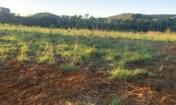Imagem 6: Fazenda em Palmas