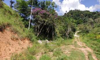 Imagem 7: Fazenda 18 hectares várias nascentes ideal para pousada linda vista