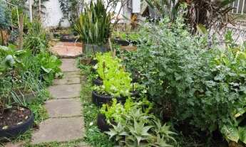 Imagem 7: Porto Alegre - Casa Padrão - Vila Ipiranga