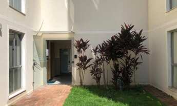 Imagem 1: Apartamento com 2 dormitórios à venda, 45 m² por R$ 205.000,00 - Jardim Terramérica I - Am