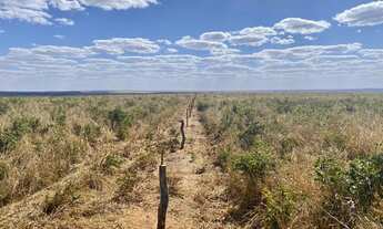 Imagem 6: Vendo Fazenda 6.700 hectares na região de Primavera do Leste- MT