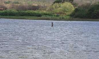 Imagem 2: Fazenda com 698 hectares (6.980.000 metros quadrados) no Boqueirão das Araras - Caucaia