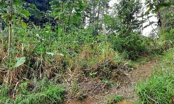 Imagem 7: Blumenau - Terreno Padrão - Salto Weissbach