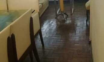 Imagem 3: Sao Paulo - Apartamento Padrao - Jardim Paulista