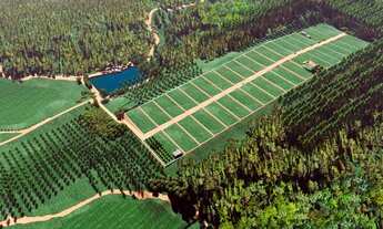 Imagem: Casa de vila para venda possui 1500 metros