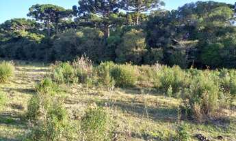 Imagem 6: Linda Chácara Urbana em Piraí do Sul