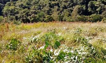 Imagem: 1-Lote/Terreno para venda possui 500 metros