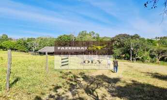 Imagem 7: Fazenda de Oportunidade - São 14 Alqueires ! Região de Goianésia-GO !