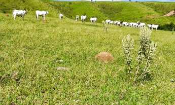 Imagem 2: Lançamento Atibaia-SP lotes por 89.999,00 avista A.C OPORTUNIDADE ÚNICA