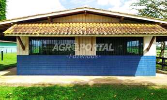 Imagem 3: Fazenda no Pará - Castanhal - 1163 ha (240 alq