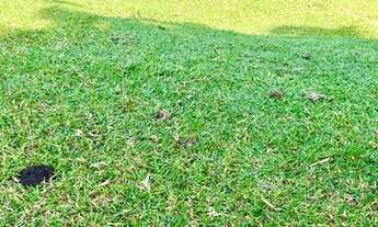 Imagem 7: 32R-Lote/Terreno para venda possui 500 metros quadrados em Jardim Brasil - Atibaia -SP!!!