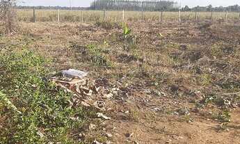 Imagem: BR 319 km 13 na beira da br o terreno