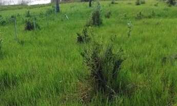 Imagem 4: Lagoa do Cassange Península de Maraú