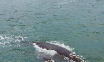 Imagem 3: Pousada Guarda do Embaú