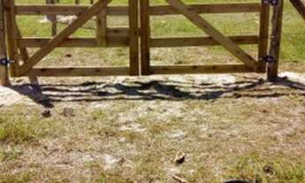 Imagem: Vendo Terreno 500 metros do mar!