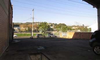 Imagem 5: PORTO ALEGRE - Galpão/Depósito/Armazém - Partenon