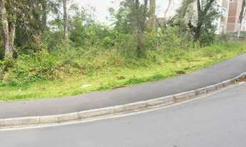 Imagem 5: Terreno para Venda em Quatro Barras, Jardim Orestes Thá