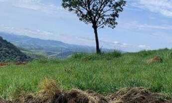 Imagem: Lote com vista para reserva