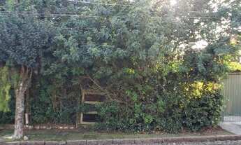 Imagem: Porto Alegre - Terreno Padrão - Ipanema