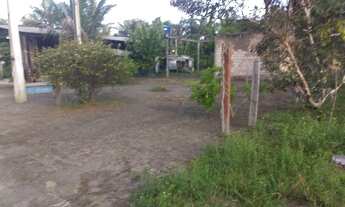 Imagem 4: Pequeno sítio na vila barauana