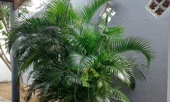 Imagem 7: Casa com 3 dormitórios à venda, 168 m² por R$ 400.000,00 - Ponta Negra - Natal/RN